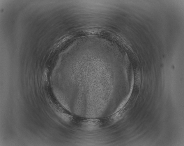 X0000082730128200702091847