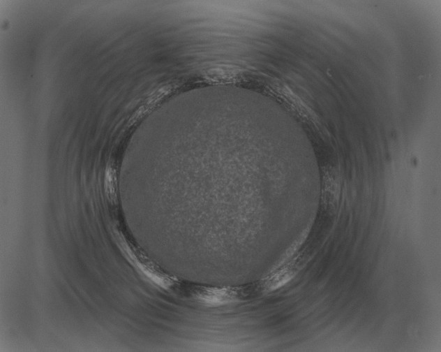 X0000082730130200702091847