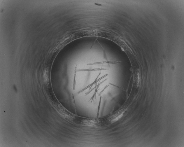 X0000082730131200702091847