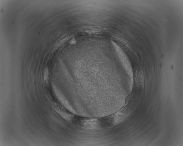 X0000082730132200702091847