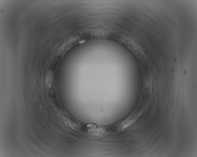 X0000082730133200702091847