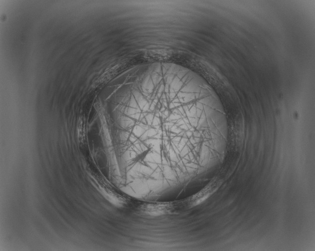 X0000082730134200702091847