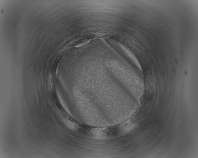 X0000082730136200702091847