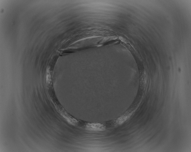 X0000082730137200702091847