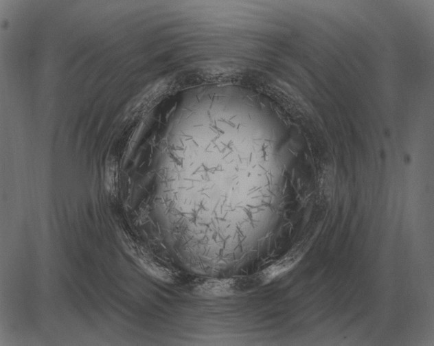 X0000082730138200702091847