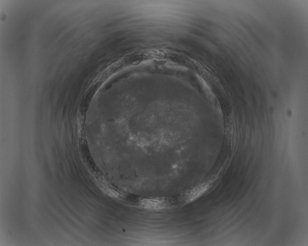 X0000082730139200702091847