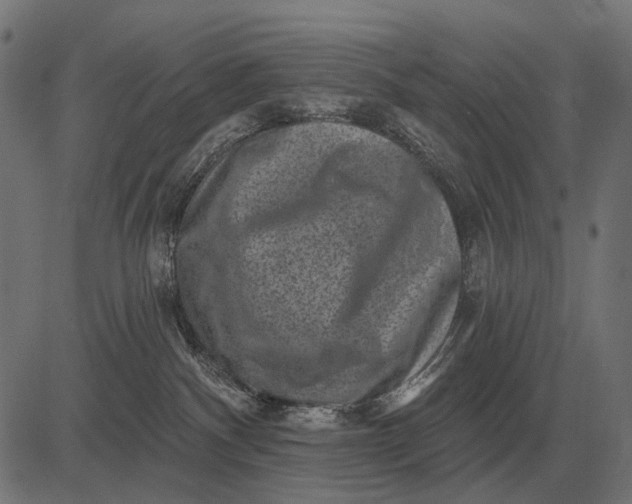 X0000082730140200702091847