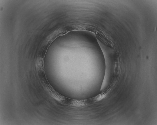 X0000082730141200702091847