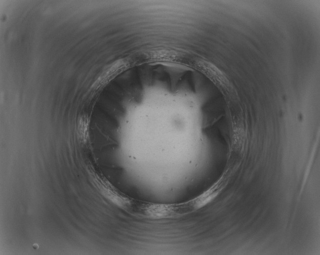 X0000082730142200702091847