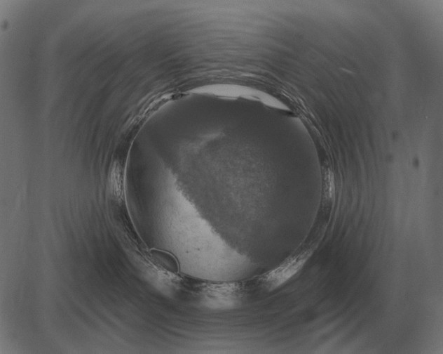 X0000082730143200702091847