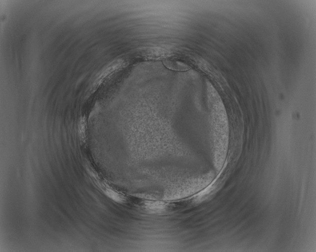 X0000082730144200702091847