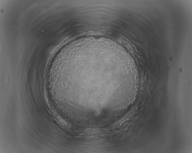 X0000082730145200702091846