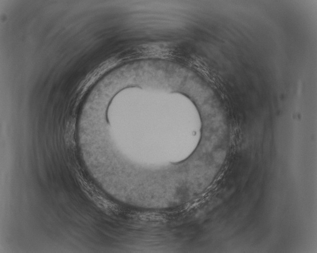 X0000082730146200702091846