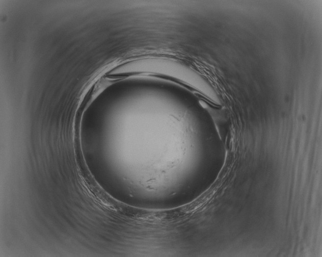 X0000082730148200702091846