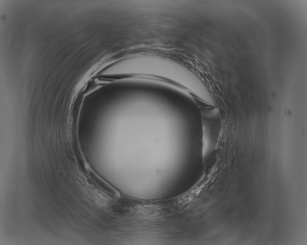 X0000082730150200702091846