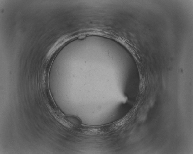 X0000082730151200702091846