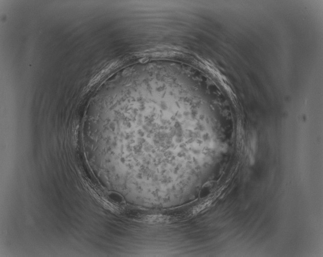 X0000082730153200702091846