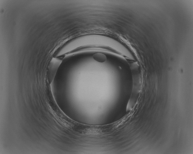 X0000082730154200702091846