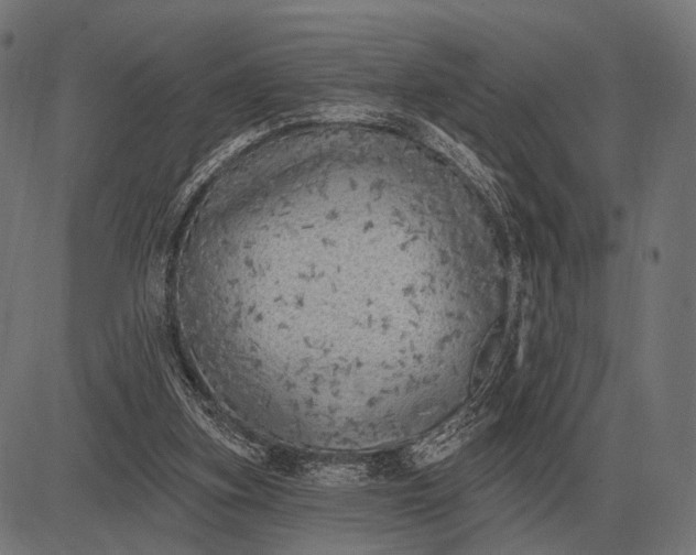 X0000082730155200702091846