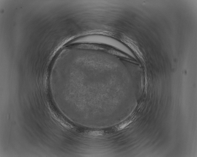 X0000082730156200702091846