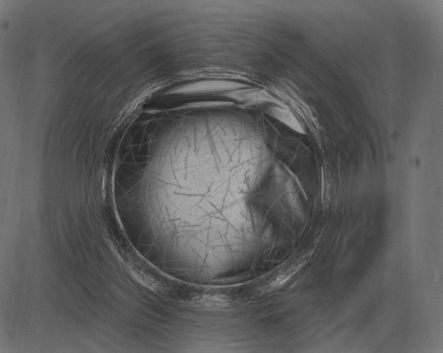 X0000082730157200702091846