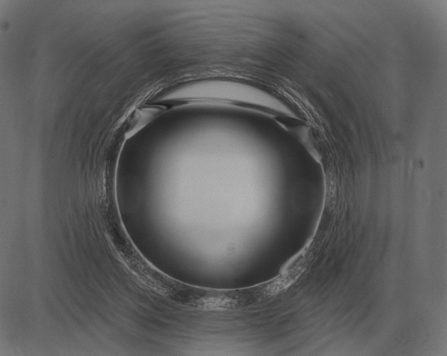 X0000082730158200702091846