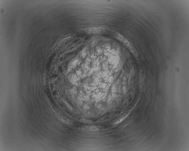 X0000082730161200702091846