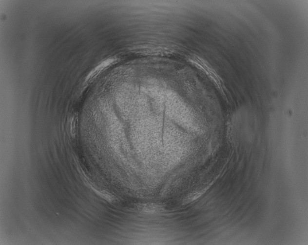 X0000082730165200702091846