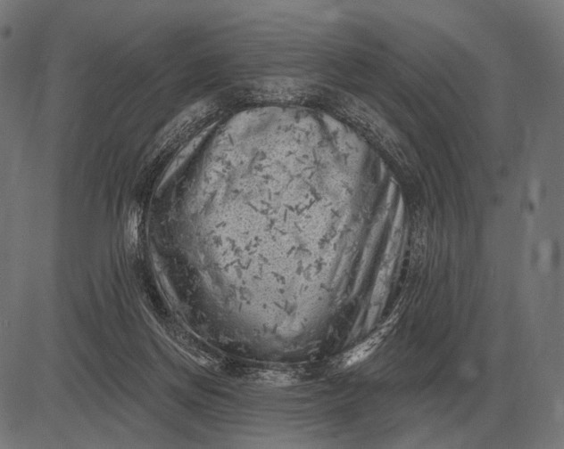 X0000082730166200702091846