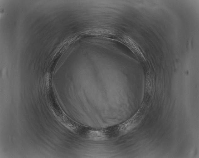 X0000082730167200702091846