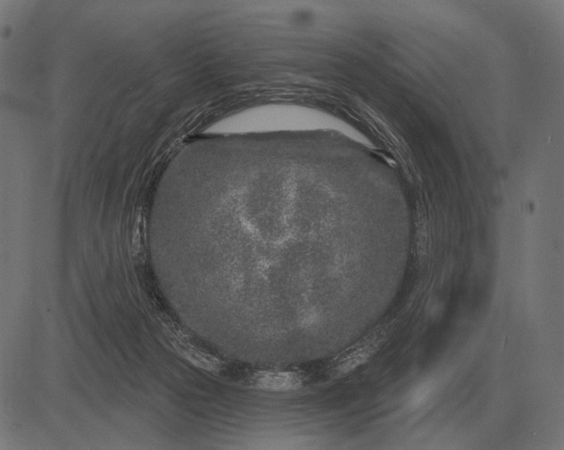 X0000082730169200702091846