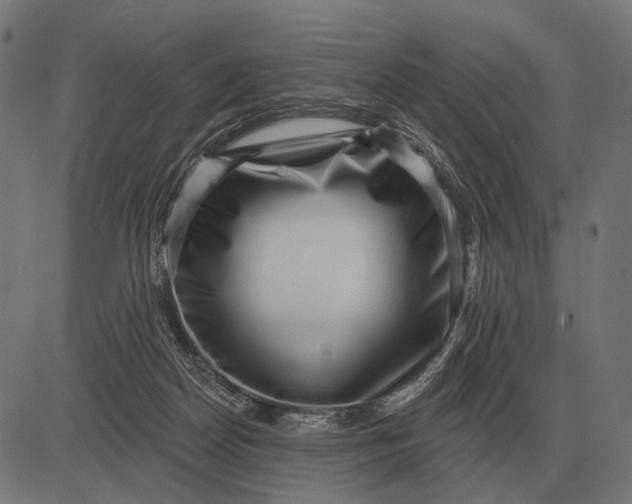 X0000082730170200702091846