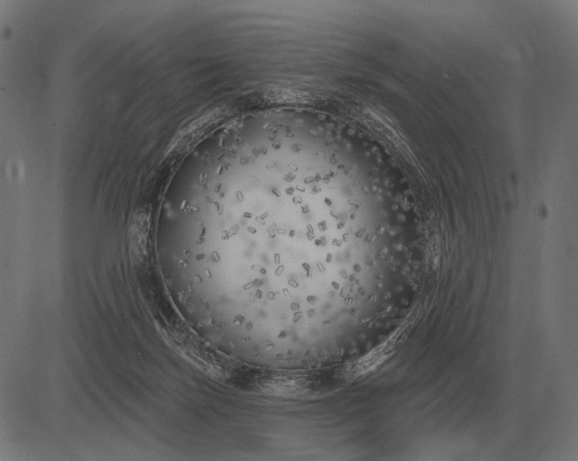 X0000082730171200702091846