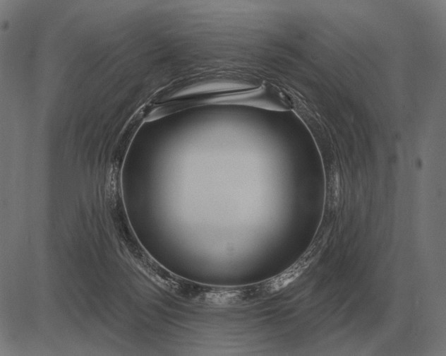 X0000082730172200702091846