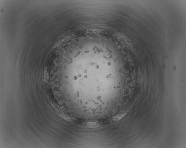 X0000082730173200702091847