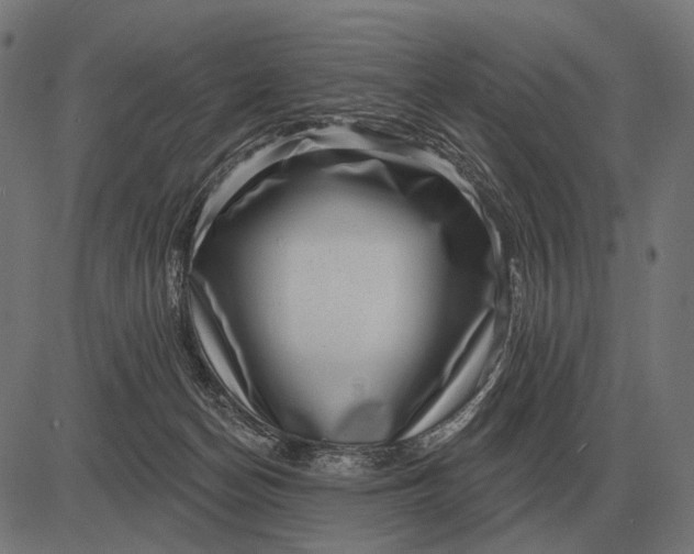 X0000082730174200702091847