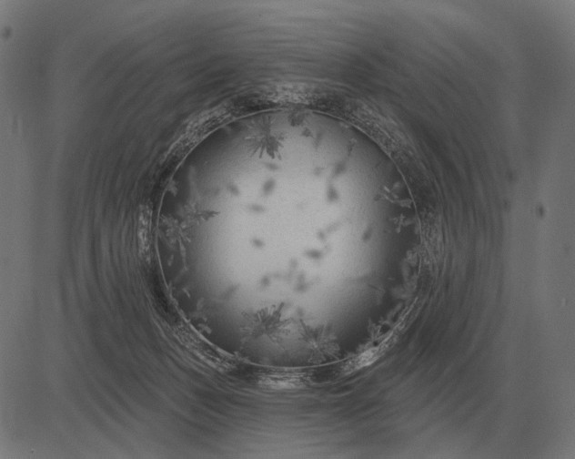 X0000082730175200702091847