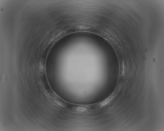 X0000082730176200702091847