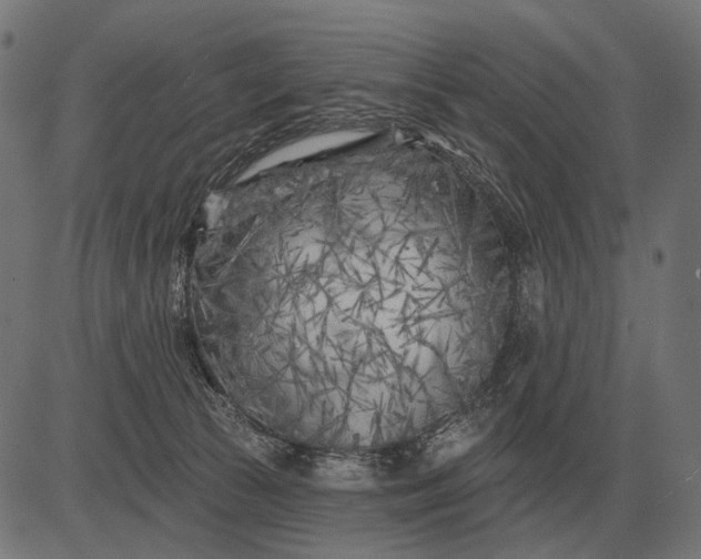 X0000082730177200702091847