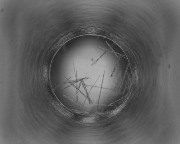 X0000082730178200702091847