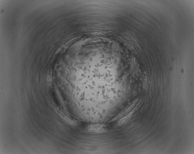 X0000082730179200702091847