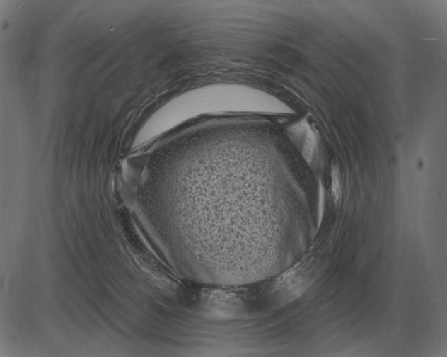 X0000082730180200702091847