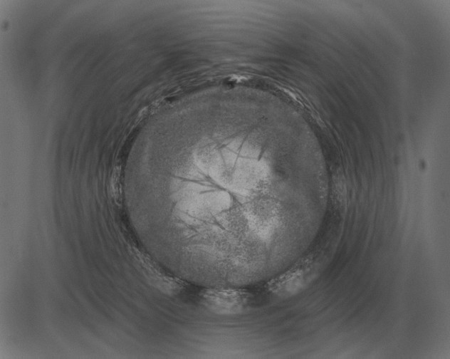 X0000082730181200702091847