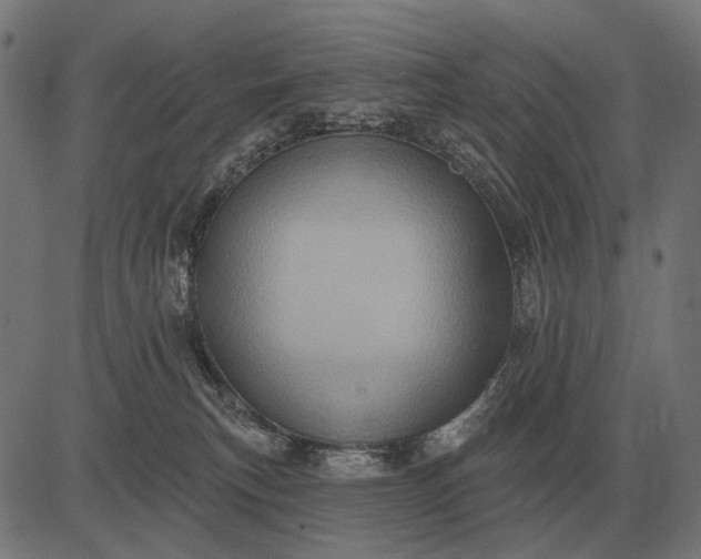 X0000082730183200702091847