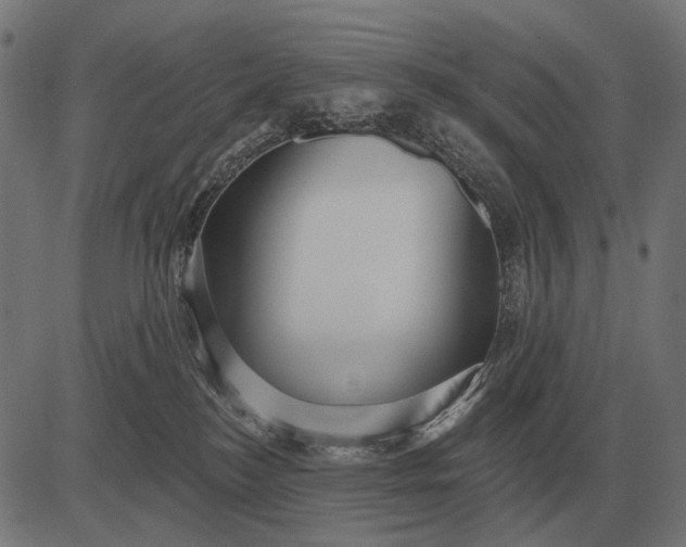 X0000082730184200702091847