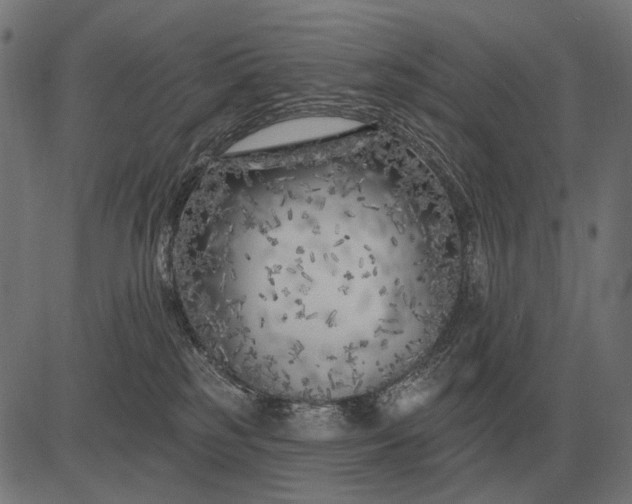 X0000082730185200702091847