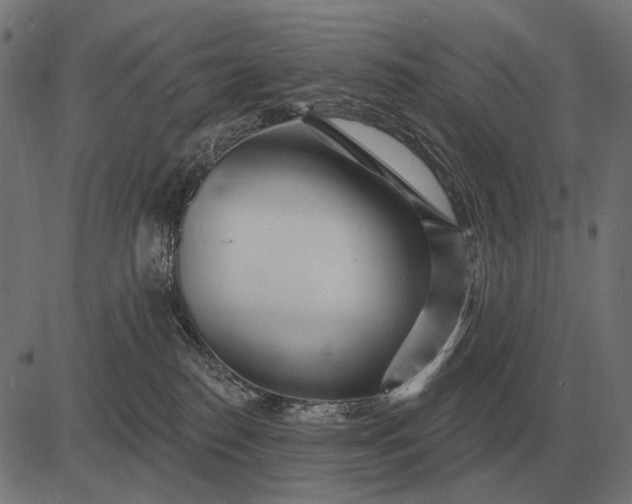 X0000082730186200702091847