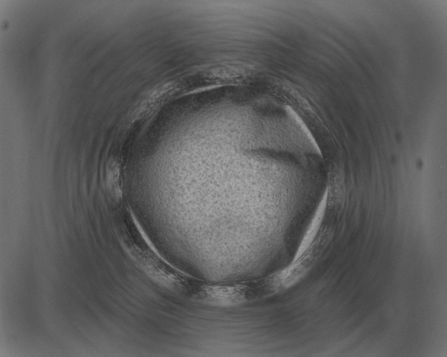 X0000082730187200702091847