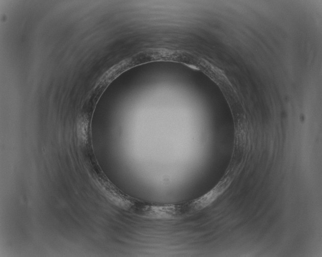 X0000082730188200702091847