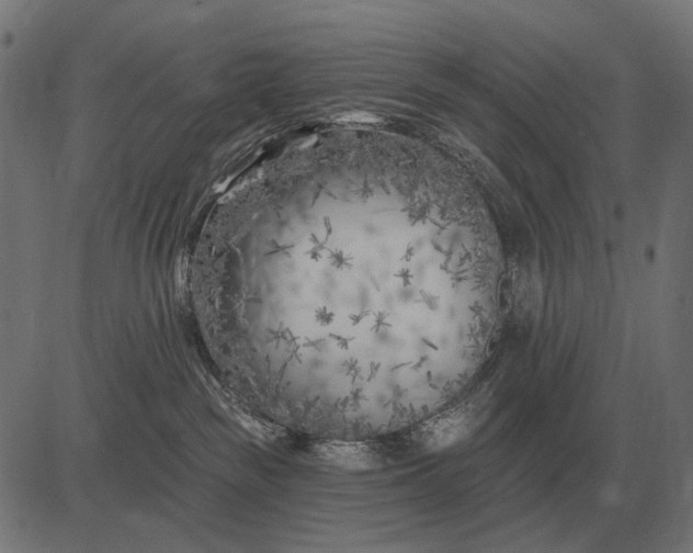 X0000082730189200702091847